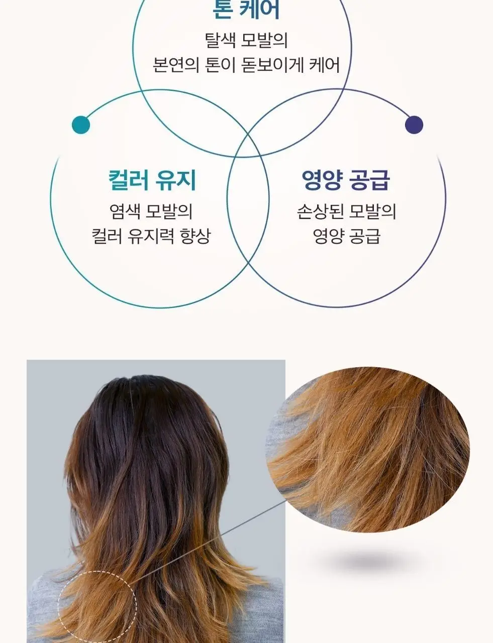 [보색 오일]모로칸오일 헤어 트리트먼트 퍼플 50ml (펌프 포함) 상세페이지 6